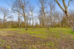 KOLKGRIEND 21-65.jpg